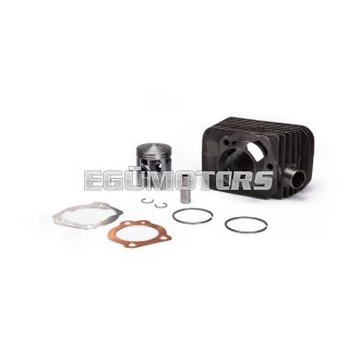 Malossi CAST-I-CYLINDER 43 pin 12 BASE+CVF