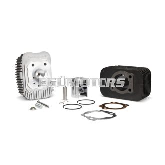 Malossi CAST-I-CYLIND. KIT 43 pin 10 BASE+CVF