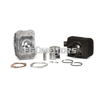 Malossi CAST-I-CYLINDER KIT 43 pin12 BASE+CVF