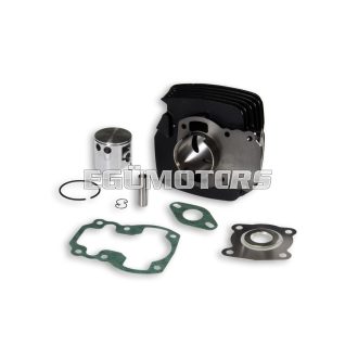 Malossi CAST-IRON CYLINDER 50 SUZUKI 50