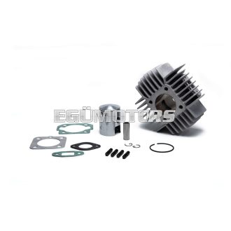 Malossi ALUMIN-CYLINDER 42 PUCH MAXI 50