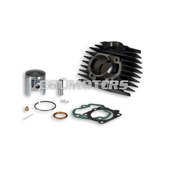 Malossi CAST-I-CYLINDER 45,5 HONDA CAMINO,PX 50