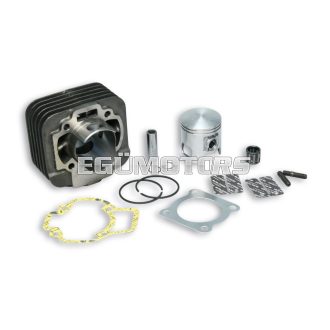 Malossi CAST-I-CYLINDER 47 pin 12