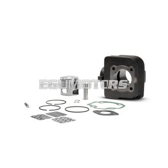 Malossi CAST-I-CYLINDER 47 pin 10 for SCOOTER