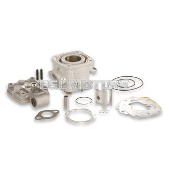 Malossi ALUMIN-CYL. KIT 36 H2O MINI Moto