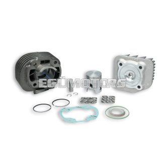 Malossi CAST-I-CYLINDER KIT 40 pin 10