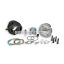 Malossi CAST-I-CYLINDER KIT 55 VESPA 50