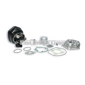 Malossi CAST-I-CYLINDER KIT 47 pin 10 H2O