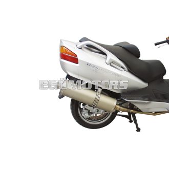 Malossi EXHAUST SYS. MAXI WILD LION homologated