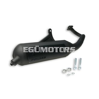 Malossi EXHAUST SYS. WILD LION homologated