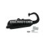 Malossi EXHAUST SYS. WILD LION homologated