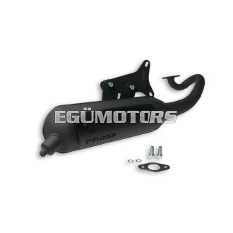 Malossi EXHAUST SYS. WILD LION homologated