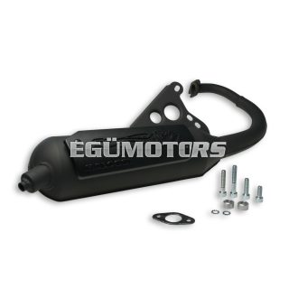 Malossi EXHAUST SYS. WILD LION homologated