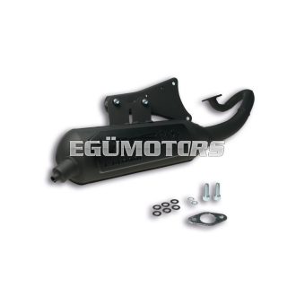 Malossi EXHAUST SYS. WILD LION homologated