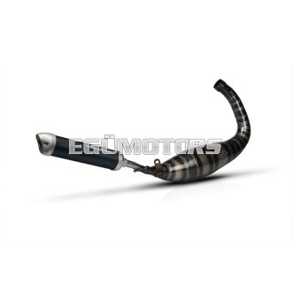 Malossi SUPERMOTO MHR 100 kipufogó, AM6