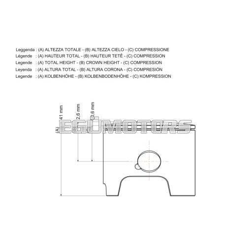 Malossi PISTON 67 pin 15 rect./oil rings 3 C