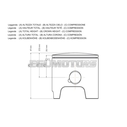 Malossi PISTON 50 pin 12 rect. rings 2 C