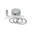 Malossi PISTON 67 pin 13 rect./oil rings 3 C