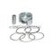 Malossi PISTON 53 pin 13 rect./oil rings 3 C