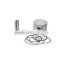Malossi PISTON 58  pin 15 rect./oil rings 3 D