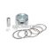 Malossi PISTON 44 pin 10 rect./oil rings 3 C