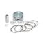 Malossi PISTON 44 pin 10 rect./oil rings 3 C