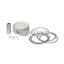 Malossi PISTON 67 pin 15 rect./oil rings 3 00