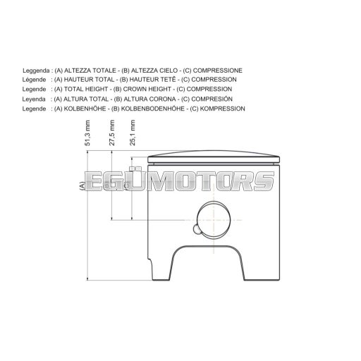 Malossi PISTON 52 pin 12 rect. ring  1 00