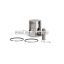 Malossi PISTON 40,8 pin 10 rect. rings 2