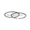 Malossi 2 PISTON RINGS 61x1,2 semi-trapezoidal KDN5