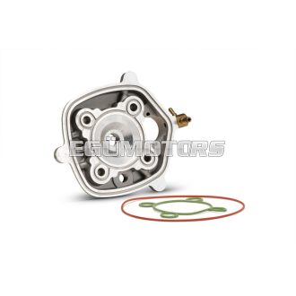 Malossi ALUM. CYL.HEAD 47 H2O HTSR