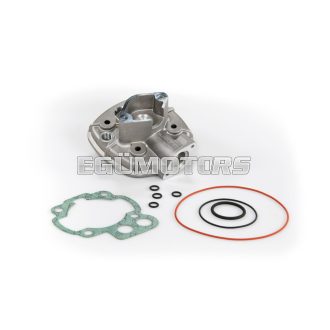 Malossi ALUM. CYL.HEAD 47 H2O HTSR