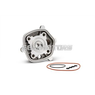 Malossi ALUM. CYL.HEAD 39,88 H2O HTSR