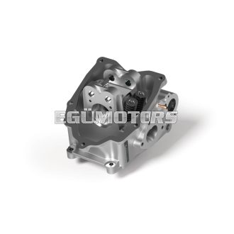 Malossi V4 HEAD 74-75,5 aluminium H2O Maxi 200>300
