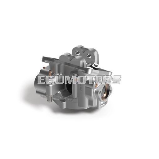 Malossi V4 HEAD 74-75,5 aluminium H2O Maxi 200>300