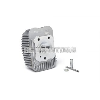 Malossi CYL.HEAD 47 symmetr.ports PIAGGIO SI