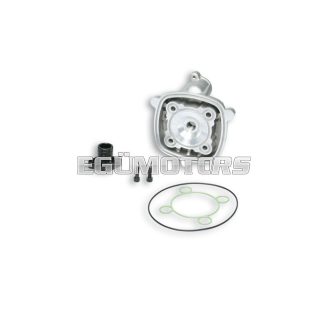 Malossi ALUM. CYL.HEAD 47 H2O HTSR