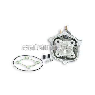 Malossi ALUM. CYL.HEAD 47,6 H2O HTSR MHR