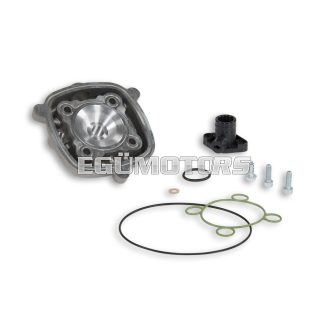 Malossi ALUM. CYL.HEAD 47,6 H2O HTSR MHR