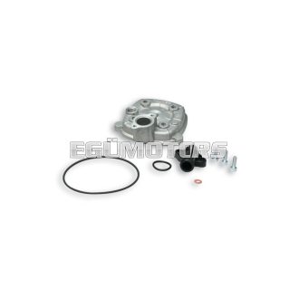 Malossi ALUM. CYL.HEAD 47 H2O HTSR