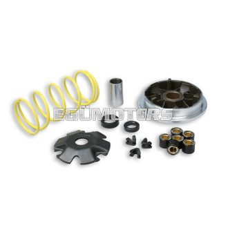 Malossi Multivar variátor, Suzuki