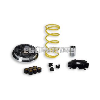 Malossi VARIATOR MULTIVAR, Ciak, Phantom 100 2T