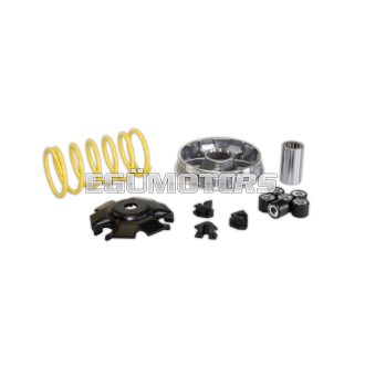 Malossi VARIATOR MULTIVAR 2000 CYGNUS 125 4T