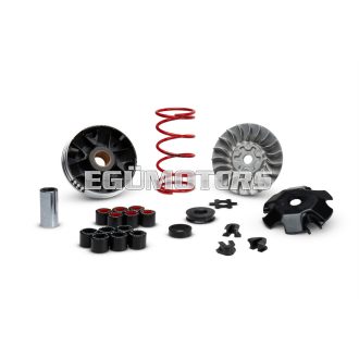 Malossi MHR Overrange variátor, Minarelli