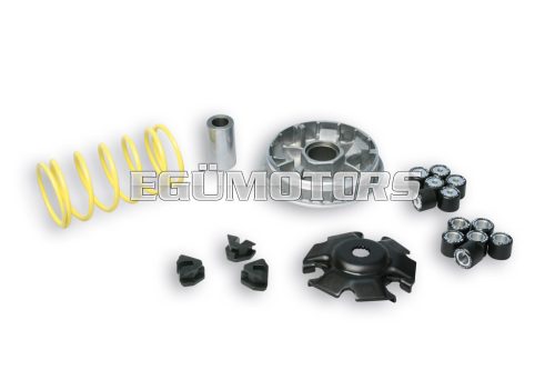 MULTIVAR 2000 variator