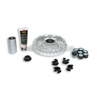 Malossi VARIATOR MULTIVAR 2000 Y. MAJESTY 400 (H317E)