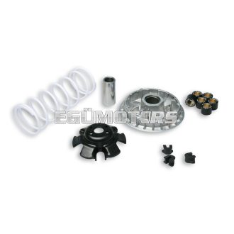 Malossi VARIATOR MULTIVAR 2000, Kymco 200-300