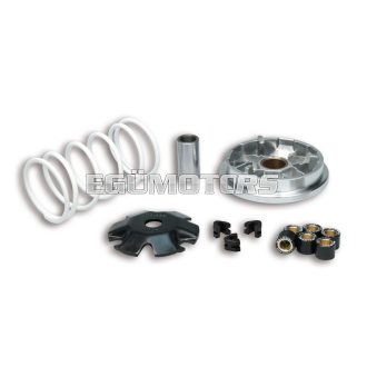 Malossi VARIATOR MULTIVAR 2000 for Honda 50 ie 4T