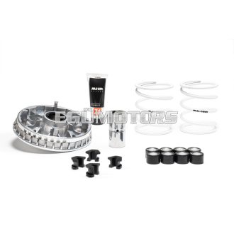 Malossi VARIATOR MULTIVAR 2000, Beverly, MP3, 350-400