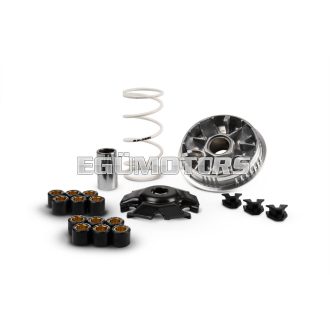 MULTIVAR 2000 variator